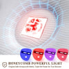 EchoGlow Pro™ LED Therapy Mask